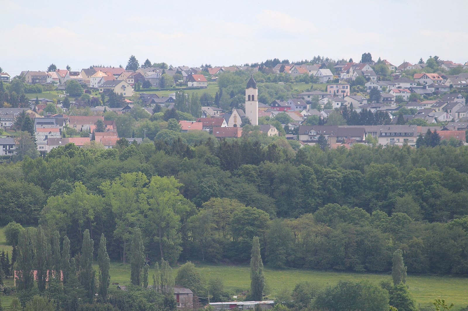 Ortsansicht von Holz (Heusweiler) — Grundstückspflege im ländlichen Saarland